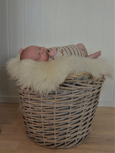Theo’s stripe body