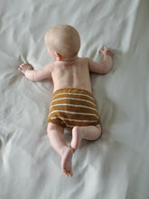 Last inn bildet i Galleri-visningsprogrammet, Theo’s bloomers